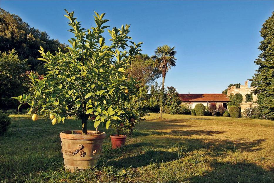 Fattoria Agriturismo Bigongiari Lucca Luaran gambar